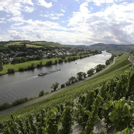 브라운버그 Weingut Fehres 아파트 외부 사진